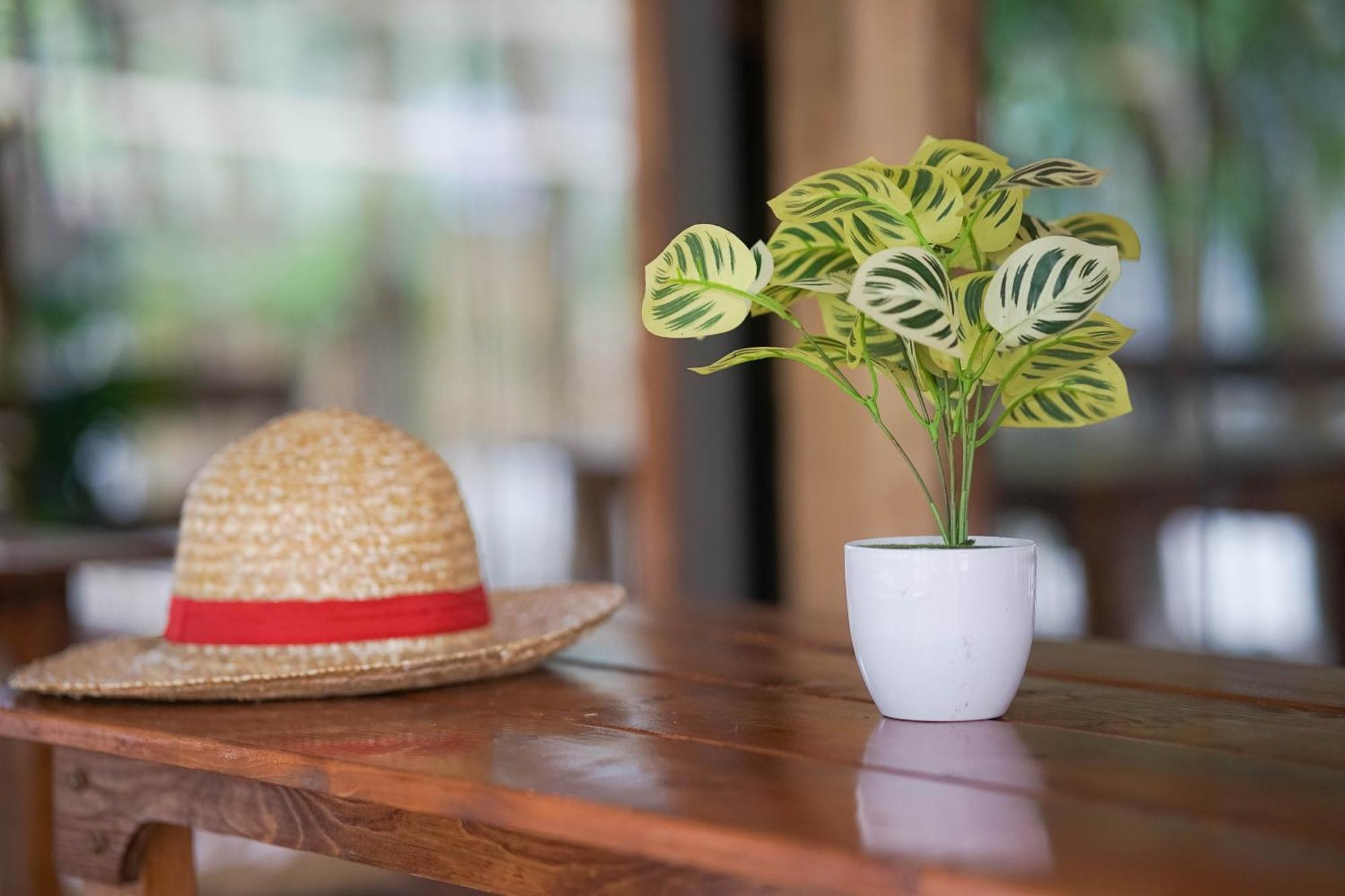 Straw Huts Liwliwa Hotel San Felipe  Bagian luar foto